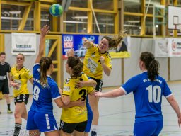 20190223_HSG_F1_0569